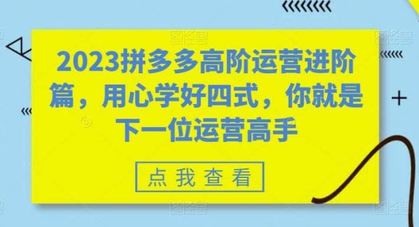 2023拼多多高阶运营进阶篇，用心学好四式，你就是下一位运营高手