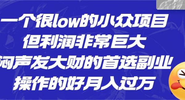 一个很low的小众项目，但利润非常巨大，闷声发大财的首选副业，月入过W