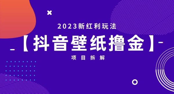 2023新红利玩法：抖音壁纸撸金项目