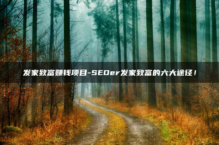 发家致富赚钱项目-SEOer发家致富的六大途径！