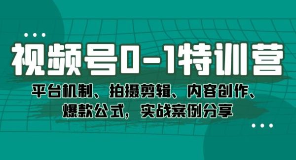 视频号0-1特训营：平台机制、拍摄剪辑、内容创作、爆款公式，实战案例分享