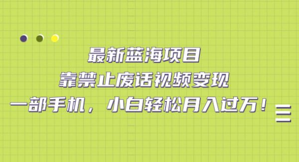 最新蓝海项目，靠禁止废话视频变现，一部手机，小白轻松月入过W！