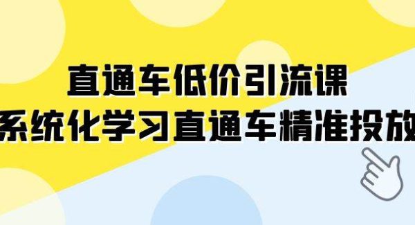 直通车-低价引流课，系统化学习直通车精准投放（14节课）