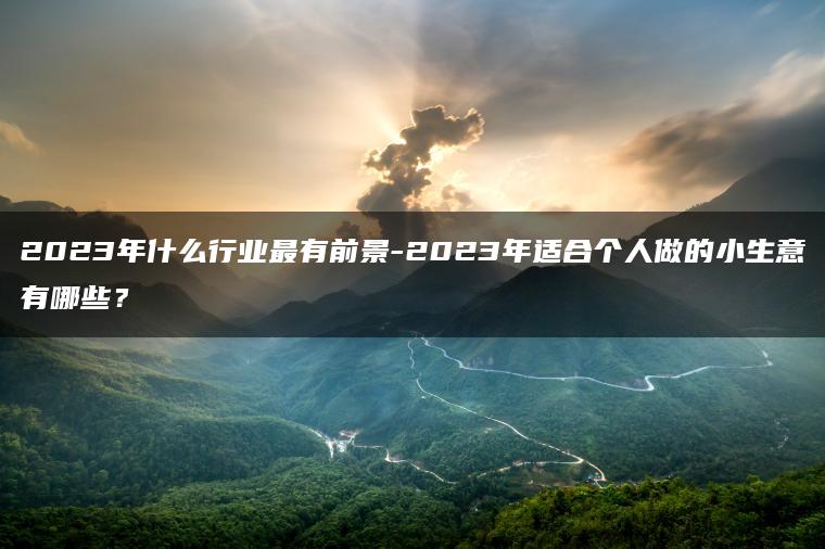 2023年什么行业最有前景-2023年适合个人做的小生意有哪些？