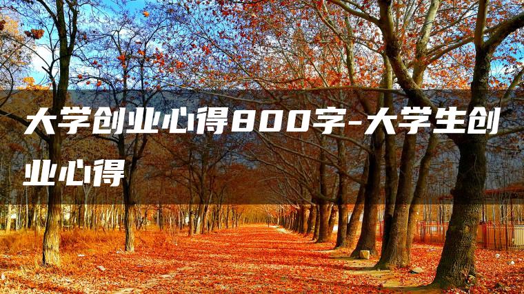 大学创业心得800字-大学生创业心得