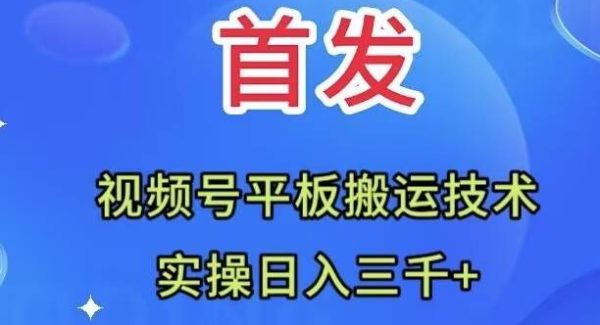 全网首发：视频号平板搬运技术，实操日入三千＋