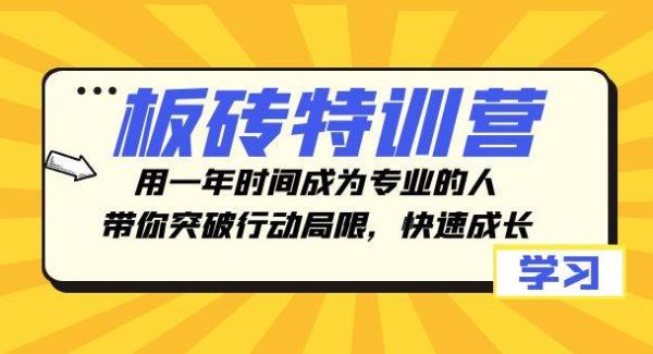 板砖特训营，用一年时间成为专业的人，带你突破行动局限，快速成长