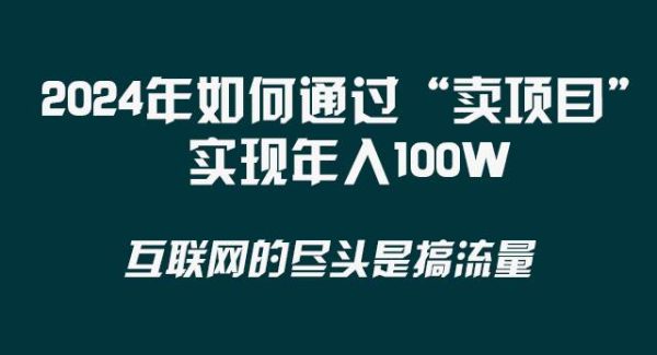 2024年如何通过“卖项目”实现年入100W