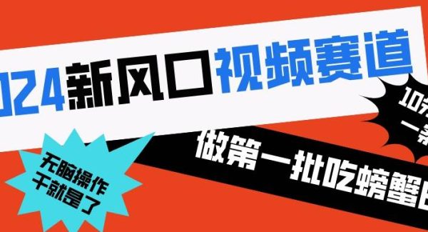 2024新风口视频赛道 做第一批吃螃蟹的人 10分钟一条原创视频 小白轻松操作1