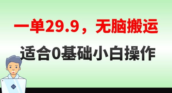 轻松搬运一单29.9，手机就能操作，卖儿童绘本电子版，单日收益400