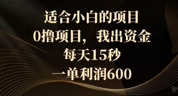 适合小白的项目，0撸项目，我出资金，每天15秒，一单利润600