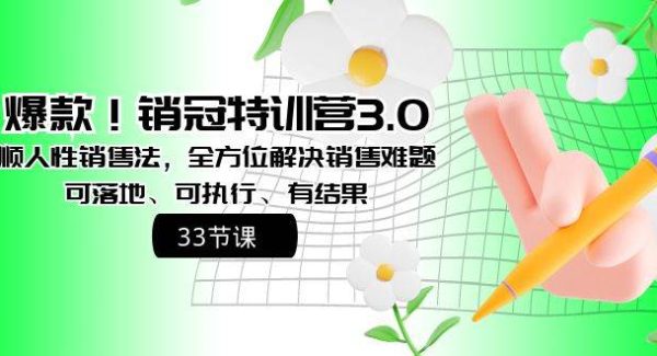 爆款！销冠特训营3.0之顺人性销售法，全方位解决销售难题、可落地、可执行、有结果