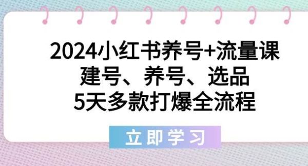 2024小红书养号+流量课：建号、养号、选品，5天多款打爆全流程