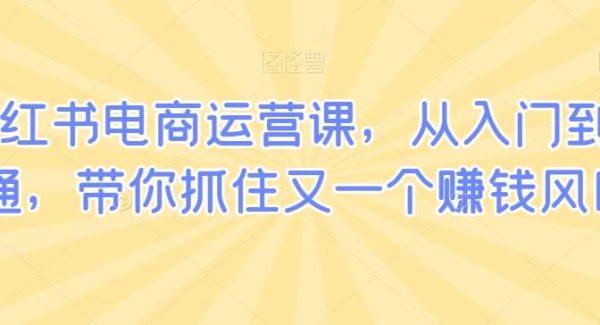 小红书电商运营课，从入门到精通，带你抓住又一个赚钱风口