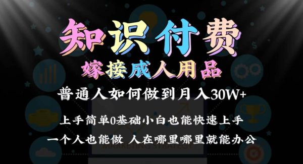 （9072期）2024普通人做知识付费结合成人用品如何实现单月变现30w 保姆教学1.0