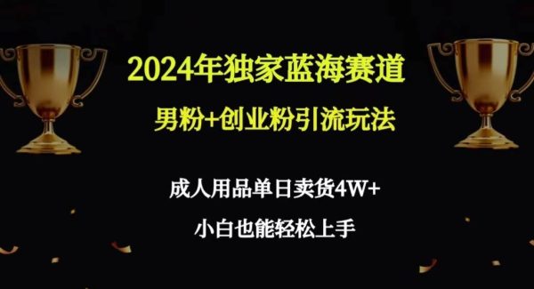 （9112期）2024年独家蓝海赛道男粉+创业粉引流玩法，成人用品单日卖货4W+保姆教程