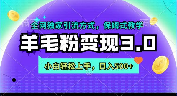 （9116期）羊毛粉变现3.0 全网独家引流方式，小白轻松上手，日入500+