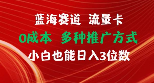 （11768期）蓝海赛道 流量卡 0成本 小白也能日入三位数