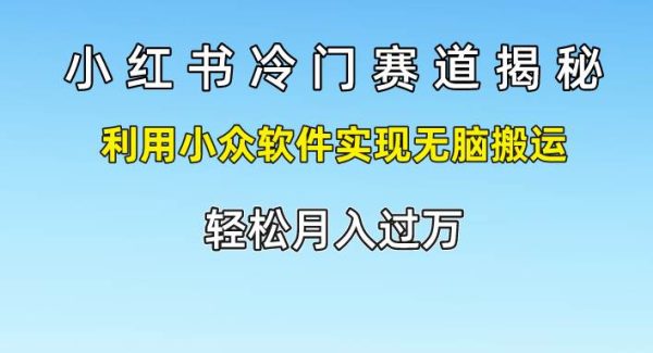 小红书冷门赛道揭秘,利用小众软件实现轻松搬运，轻松月入过W