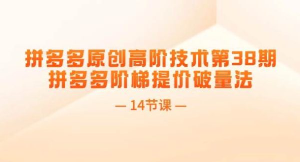 （11704期）拼多多原创高阶技术第38期，拼多多阶梯提价破量法（14节课）