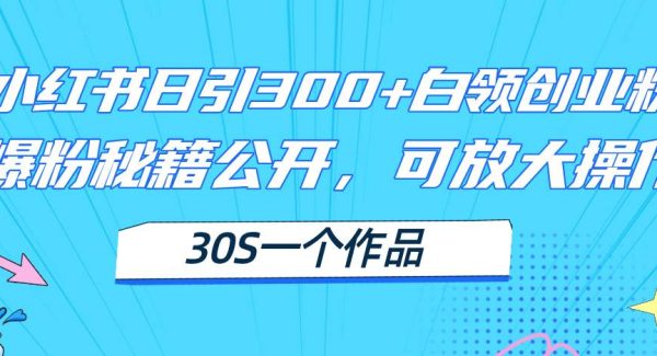 （11692期）小红书日引300+高质白领创业粉，可放大操作，爆粉秘籍！30s一个作品