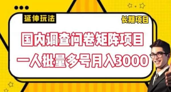 国内调查问卷矩阵项目，一人批量多号月入3000【揭秘】