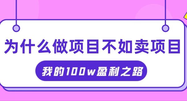 （11893期）抓住互联网创业红利期，我通过卖项目轻松赚取100W+