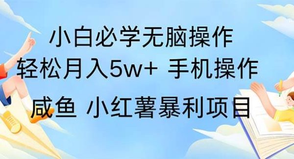 （11953期）2024热门暴利手机操作项目，简单轻松操作，每单利润最少500