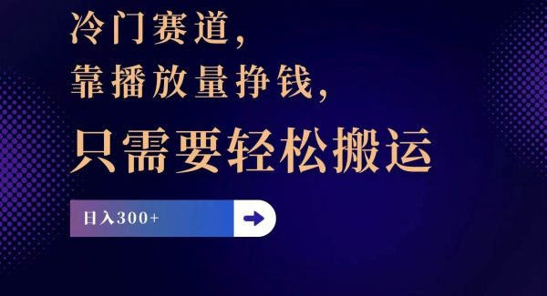 （11965期）冷门赛道，靠播放量挣钱，只需要轻松搬运，日赚300+