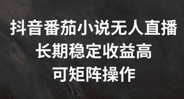 抖音番茄小说无人直播，长期稳定收益高，可矩阵操作【揭秘】