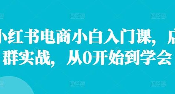 小红书电商小白入门课，店群实战，从0开始到学会