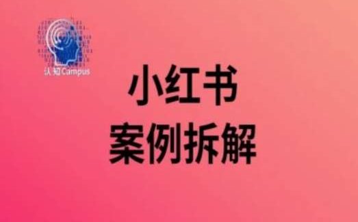 小红书案例拆解，深度解读小红书40万粉