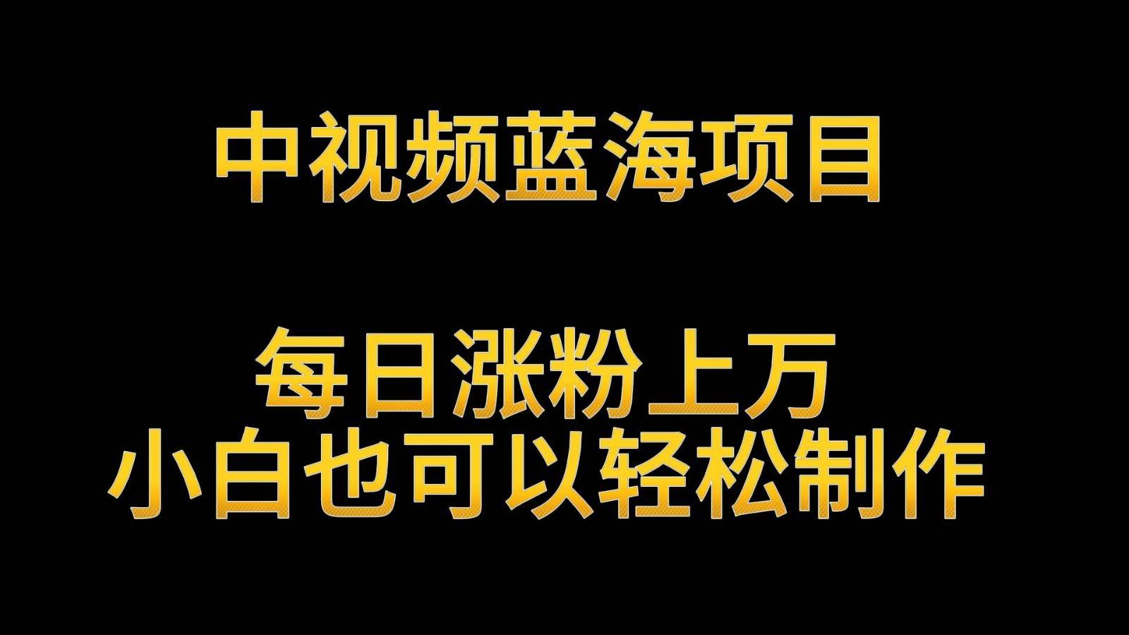 中视频蓝海项目，解读英雄人物生平，每日涨粉上万，小白也可以轻松制作，月入过W