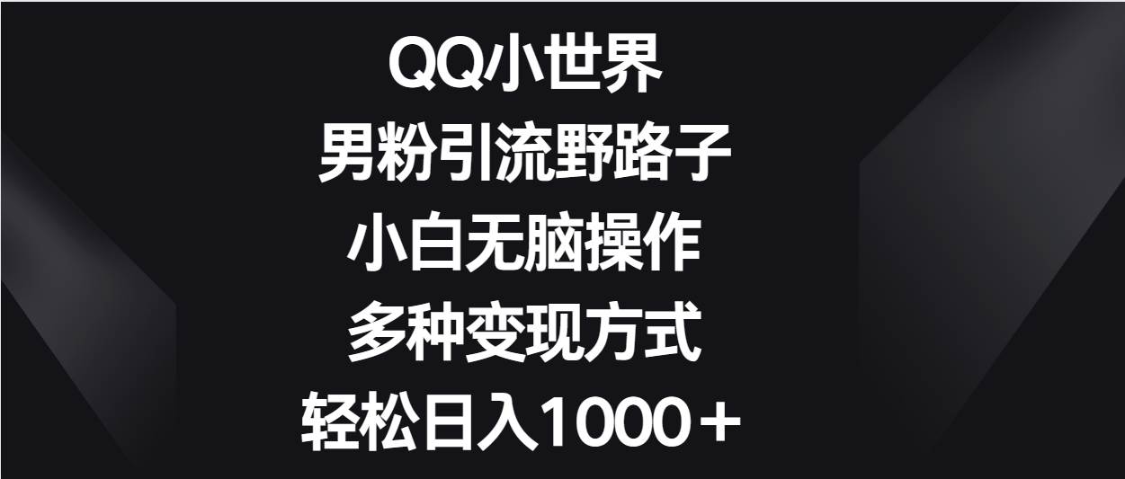 QQ小世界男粉引流野路子，小白轻松操作，多种变现方式轻松日入1000＋