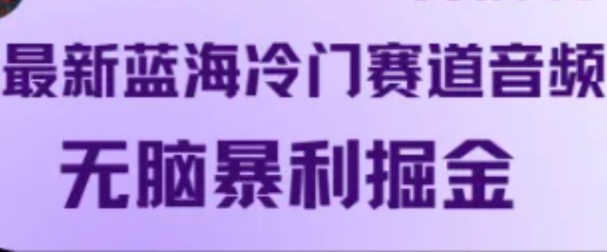 最新蓝海冷门赛道音频，轻松暴利掘金