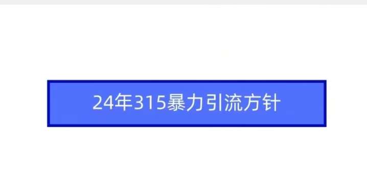 24年315暴力引流方针