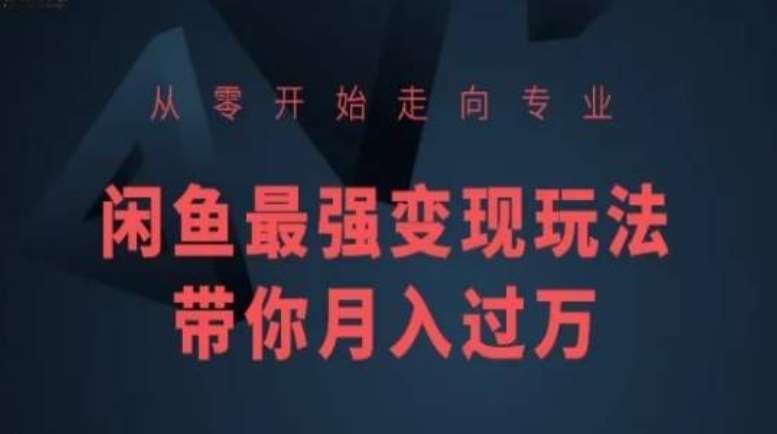 从零开始走向专业，闲鱼最强变现玩法带你月入过W