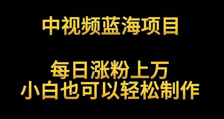 中视频蓝海项目，解读英雄人物生平，每日涨粉上万，小白也可以轻松制作，月入过W不是梦【揭秘】