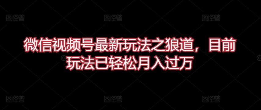 微信视频号最新玩法之狼道，目前玩法已轻松月入过W【揭秘】