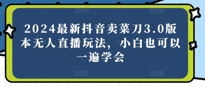 2024最新抖音卖菜刀3.0版本无人直播玩法，小白也可以一遍学会【揭秘】