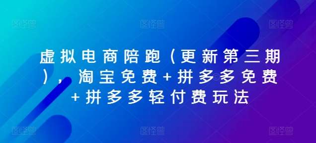 虚拟电商陪跑(更新第三期)，淘宝免费+拼多多免费+拼多多轻付费玩法