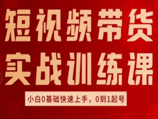 短视频带货实战训练课，好物分享实操，小白0基础快速上手，0到1起号