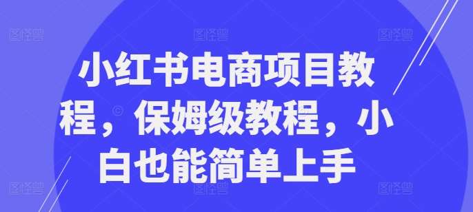 小红书电商项目教程，保姆级教程，小白也能简单上手