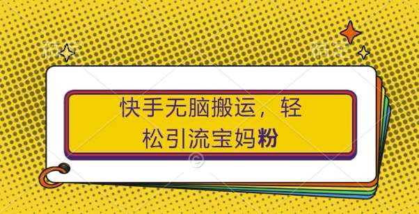 快手轻松搬运，轻松引流宝妈粉，纯小白轻松上手【揭秘】