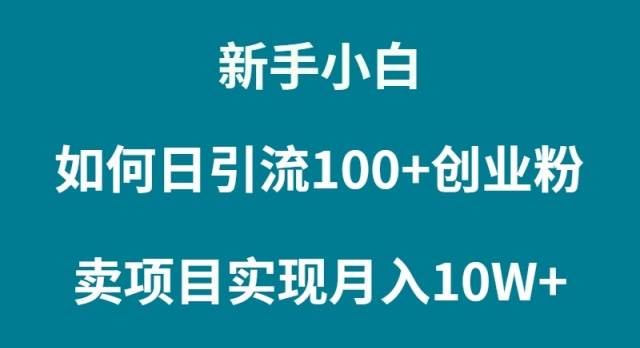 （9556期）新手小白如何通过卖项目实现月入10W+