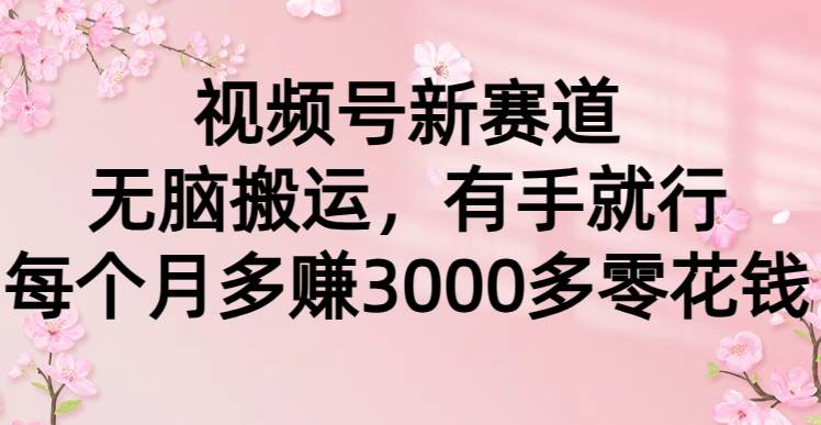 （9278期）视频号新赛道，轻松搬运，有手就行，每个月多赚3000多零花钱