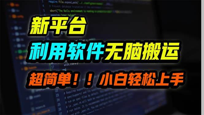 （9745期）新平台用软件轻松搬运，月赚10000+，小白也能轻松上手