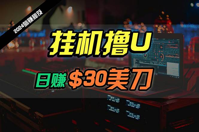 （10013期）日赚30美刀，2024最新海外gua机撸U内部项目，全程无人值守，可批量放大