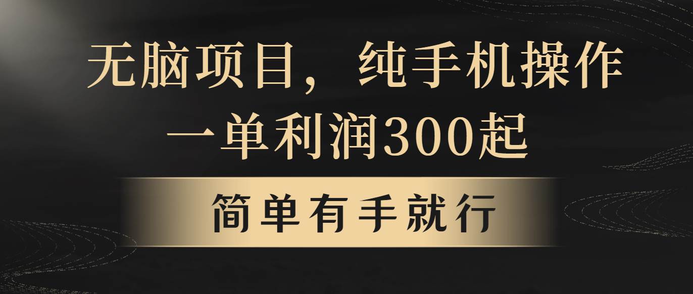 （10589期）轻松项目，一单几百块，轻松月入5w+，看完就能直接操作