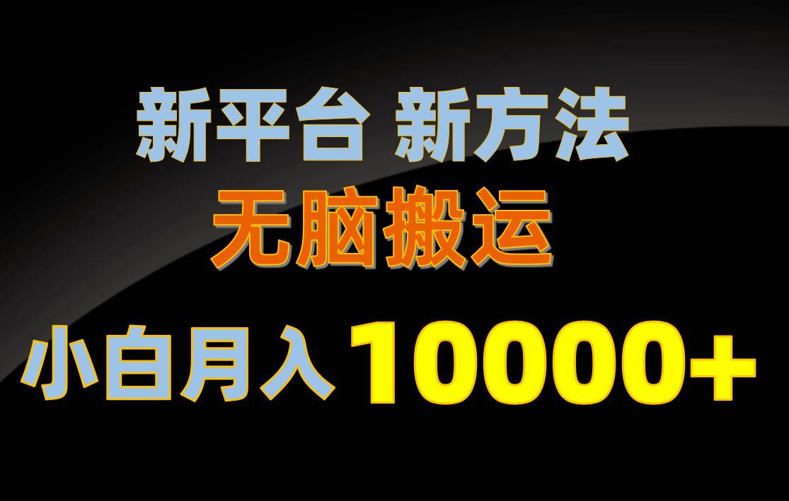 （10605期）新平台新方法，轻松搬运，月赚10000+，小白轻松上手不动脑